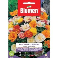SEMI ESCOLZIA DI CALIFORNIA BLUMEN