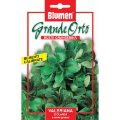 SEMI VALERIANA D'OLANDA A SEME GROSSO BLUMEN
