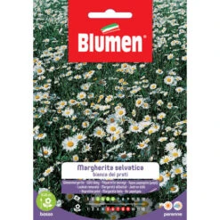 SEMI MARGHERITINA SELVATICA BIANCA DEI PRATI BLUMEN