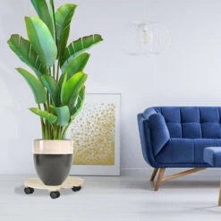 Relaxdays Carrello Portavasi Set Da 3, Quadrato In Legno, Fino A 30 Kg, Per Tutti I Pavimenti, Beige -Vendite VIDAXL 51969688 3