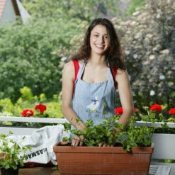 4x Mini Serra Da Interni 50 Piante Ciascuna, Con Coperchio, Mini Semenzaio, Balcone, Per Germinazione 5 X 55,5 Cm, Nero -Vendite VIDAXL 51975510 5