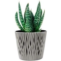 Fioriera Vaso Decorativo Design Moderno Fiori Piante Casa Esterno 16cm Grigio 7 Fioriera Vaso Decorativo Design Moderno Fiori Piante Casa Esterno 16cm Grigio -Vendite VIDAXL 53384525 3