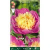 BULBI PRIMAVERILI PAEONIA BOWL OF BEAUTY CONFEZIONE DA 1 BULBO BULBS PEONIA