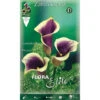 BULBI PRIMAVERILI CALLA ZANTEDESCHIA PICASSO CONFEZIONE DA 1 BULBO BULBS