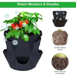 2 Pz 10 Gallon Sacchi Coltivazione Fragole Sacchetti Per Piantare Fragole In Tessuto Non Tessuto Con 8 Tasche Laterali Per Fragole Verdure Fiori Erbe Pianta A Radice Nuda -Vendite VIDAXL 59305420 3