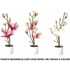 PIANTA MAGNOLIA CON VASO CM.100X46h 3 COL. ASS.