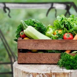 Relaxdays Serra Per Orto, HxLxP: 94x180x140 Cm, Telo In PVC, Ampia Apertura, Coltivazioni Da Giardinaggio, Trasparente -Vendite VIDAXL 60805646 5