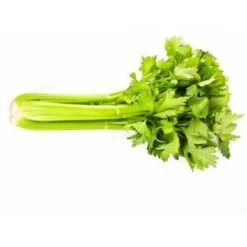 Semi Di Sedano D'elne Ortaggio Pianta Per Orti E Giardini