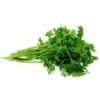 Semi Prezzemolo Comune Foglia Piccola Sementi Italiano Aromatiche Piante Gr 10