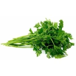 Semi Prezzemolo Comune Foglia Piccola Sementi Italiano Aromatiche Piante Gr 10