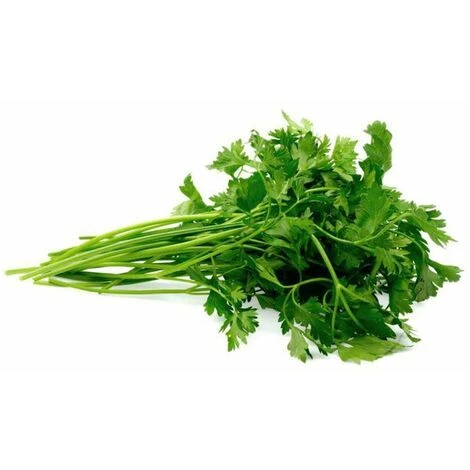 Semi Prezzemolo Comune Foglia Piccola Sementi Italiano Aromatiche Piante Gr 10 1 Semi Prezzemolo Comune Foglia Piccola Sementi Italiano Aromatiche Piante Gr 10
