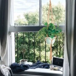 2 Confezioni Appendiabiti Per Piante Macramè, Vaso Appeso Per Piante, Per Appendere Vaso Di Fiori Pianta Appesa Decorazione Appesa Balcone Casa, 4 Gambe In Corda, 105 Cm 8 2 Confezioni Appendiabiti Per Piante Macramè, Vaso Appeso Per Piante, Per Appendere Vaso Di Fiori Pianta Appesa Decorazione Appesa Balcone Casa, 4 Gambe In Corda, 105 Cm -Vendite VIDAXL 63845151 4