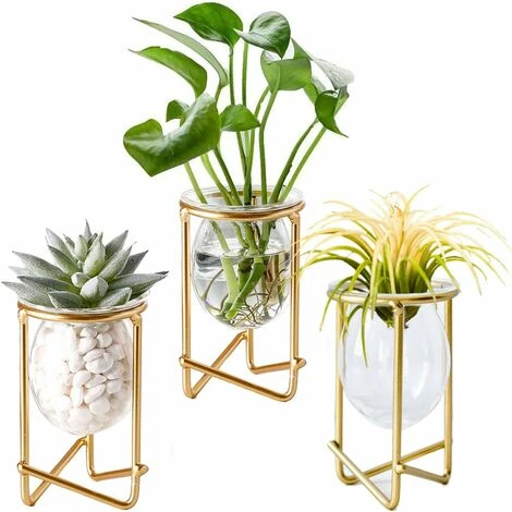 Porta Piante Ad Aria Set Di 3 Mini Fioriere Geometriche In Metallo Dorato Terrari Tillandsia Vaso In Vetro Espositori Da Donna Vasi Idroponici Per Ufficio (fioriera Alta Oro) 1 Porta Piante Ad Aria Set Di 3 Mini Fioriere Geometriche In Metallo Dorato Terrari Tillandsia Vaso In Vetro Espositori Da Donna Vasi Idroponici Per Ufficio (fioriera Alta Oro)