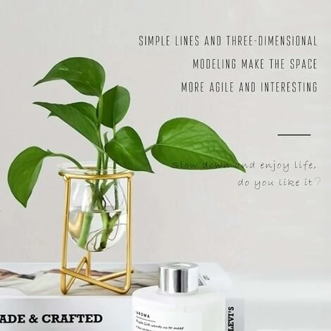 Porta Piante Ad Aria Set Di 3 Mini Fioriere Geometriche In Metallo Dorato Terrari Tillandsia Vaso In Vetro Espositori Da Donna Vasi Idroponici Per Ufficio (fioriera Alta Oro) 5 Porta Piante Ad Aria Set Di 3 Mini Fioriere Geometriche In Metallo Dorato Terrari Tillandsia Vaso In Vetro Espositori Da Donna Vasi Idroponici Per Ufficio (fioriera Alta Oro) - immagine 5