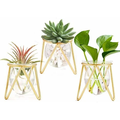 Portapiante Ad Aria Set Di 3 Mini Fioriere Geometriche In Metallo Dorato Terrari Tillandsia Espositori Per Vasi Di Vetro Per Donne Vasi Idroponici Per Ufficio (fioriera Dorata Bassa) 1 Portapiante Ad Aria Set Di 3 Mini Fioriere Geometriche In Metallo Dorato Terrari Tillandsia Espositori Per Vasi Di Vetro Per Donne Vasi Idroponici Per Ufficio (fioriera Dorata Bassa)