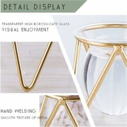 Portapiante Ad Aria Set Di 3 Mini Fioriere Geometriche In Metallo Dorato Terrari Tillandsia Espositori Per Vasi Di Vetro Per Donne Vasi Idroponici Per Ufficio (fioriera Dorata Bassa) 7 Portapiante Ad Aria Set Di 3 Mini Fioriere Geometriche In Metallo Dorato Terrari Tillandsia Espositori Per Vasi Di Vetro Per Donne Vasi Idroponici Per Ufficio (fioriera Dorata Bassa) -Vendite VIDAXL 63853767 4