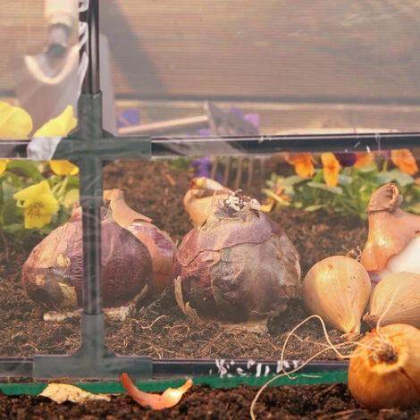 Relaxdays Serra Per Orto, HxLxP: 60 X 120 X 60 Cm, Con 2 Finestre, Coltivazioni Da Giardinaggio Telo In PVC, Trasparente 5 Relaxdays Serra Per Orto, HxLxP: 60 X 120 X 60 Cm, Con 2 Finestre, Coltivazioni Da Giardinaggio Telo In PVC, Trasparente - immagine 5