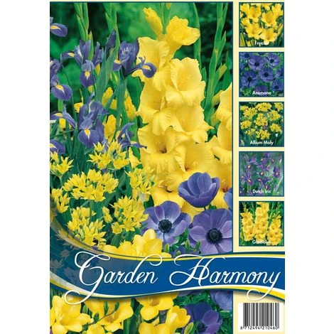 BULBI PRIMAVERILI COLLEZIONE 75 BULBI IN MIX BLU E GIALLO PER AIUOLE E VASI 1 BULBI PRIMAVERILI COLLEZIONE 75 BULBI IN MIX BLU E GIALLO PER AIUOLE E VASI