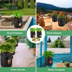 Sacchetti Per Piantare Patate, 4 Sacchetti In Tessuto Non Tessuto Da 10 Galloni, Sacchetti Per Piantare Piante, Adatti Per Sacchetti Per Piantare Patate, Pomodori, Carote Dolci (nero) -Vendite VIDAXL 66561191 4