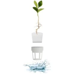 Giardino Interno 1,2 L 21 W Bianco Livoo -Vendite VIDAXL 67548367 4