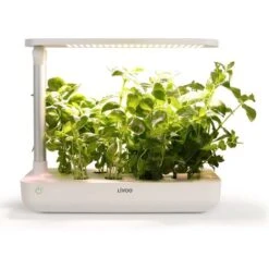 Giardino Interno 1,2 L 21 W Bianco Livoo -Vendite VIDAXL 67548367 5