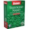 Blumen Semi Prato Trifoglio Nano 500 G