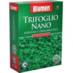 Blumen Semi Prato Trifoglio Nano 500 G