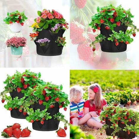 2 Sacchetti Per Piantare Fragole, Sacchi Per Piante In Tessuto Non Tessuto, Sacchi Per Piante Da 30 Litri Con 8 Tasche Laterali E 2 Manici, Per Fragole, Verdure, Fiori, Patate, Giardino 5 2 Sacchetti Per Piantare Fragole, Sacchi Per Piante In Tessuto Non Tessuto, Sacchi Per Piante Da 30 Litri Con 8 Tasche Laterali E 2 Manici, Per Fragole, Verdure, Fiori, Patate, Giardino - immagine 5