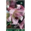 LILIUM TRUMPET PINK PERFECTION (CONFEZIONE DA 1 BULBO)