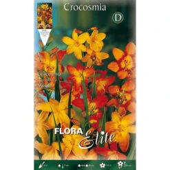 BULBI PRIMAVERILI CROCOSMIA CROCOSMIIFLORA MIX DI COLORI 20 BULBI BULBS