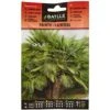 Semi Di Fiori - Palmito-Palmito - Batlle