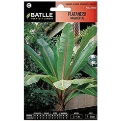 Semi Di Fiori - Pianaio Ornamentale - Batlle