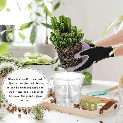 10 Vasi Per Orchidee In Plastica Trasparente Con Fori Per Orchidee, Vaso Diviso Traspirante 3 10 Vasi Per Orchidee In Plastica Trasparente Con Fori Per Orchidee, Vaso Diviso Traspirante - immagine 3