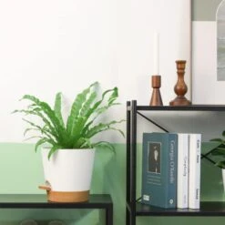 ZOLGINAH 3 Vasi Da Fiori In Plastica Da 20 Cm Bianchi Autoirriganti Con Piattino Con Sistema Di Irrigazione Vaso Da Fiori Pigro Adatto Per Giardino Interno Ed Esterno Balcone -Vendite VIDAXL 71129069 5