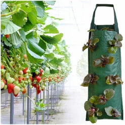Borsa Da Coltivazione Per Fragole, Borsa Da Coltivazione Sospesa Porosa E Traspirante Per Patio, Piccolo Giardino, Balcone 8 Fori -Vendite VIDAXL 71369769 3