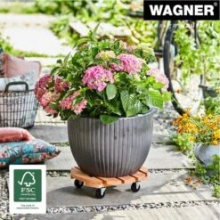 Scooter Pianta Toscana Ø 38 X 10,5 Cm I Area Esterna + Area Interna 7 Scooter Pianta Toscana Ø 38 X 10,5 Cm I Area Esterna + Area Interna -Vendite VIDAXL 72581863 4