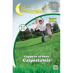 Semi Prato Kg 1 Prato Calpestabile