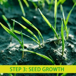 Stuoia Di Semi Di Erba Biodegradabile Stuoia Di Paglia Fertilizzante Giardino Picnic Prato Cortile Piantare Coltivare (0,2 10 M) -Vendite VIDAXL 77489877 5