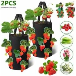 MINKUROW 2 Pezzi Sacchetti Per Coltivazione Di Fragole,Sacco Per Piante Di Fragole,Sacco Per Coltivazione Traspirante Per Fragole,Sacchetti Per Fragole Da Appendere,Con Aperture Laterali E Maniglie,Pe -Vendite VIDAXL 77687768 3