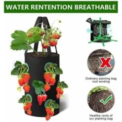 MINKUROW 2 Pezzi Sacchetti Per Coltivazione Di Fragole,Sacco Per Piante Di Fragole,Sacco Per Coltivazione Traspirante Per Fragole,Sacchetti Per Fragole Da Appendere,Con Aperture Laterali E Maniglie,Pe -Vendite VIDAXL 77687768 5