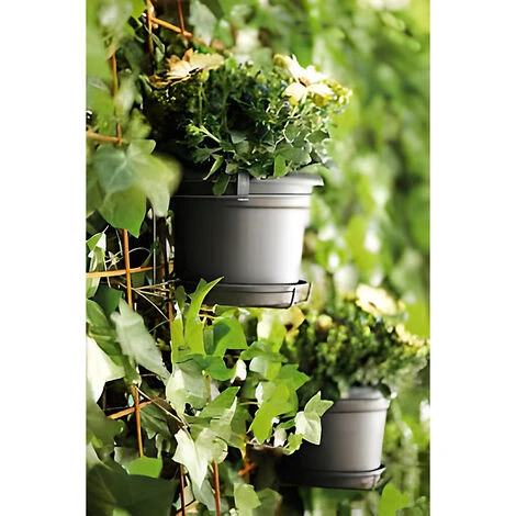 Elho Vaso Per Piante Green Basics Rotondo Plastica Riciclata Sottovaso Rotondo Balcone Davanzale Finestra Varie Misure & Colori 3 Elho Vaso Per Piante Green Basics Rotondo Plastica Riciclata Sottovaso Rotondo Balcone Davanzale Finestra Varie Misure & Colori - immagine 3