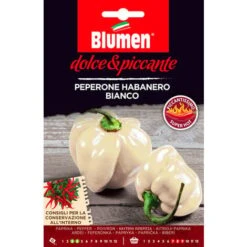 SEMI PEPERONE HABANERO BIANCO BLUMEN SEMENTI