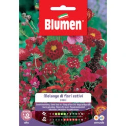 MELANGE FIORI ESTIVI ROSSI BLUMEN SEMENTI SEMI