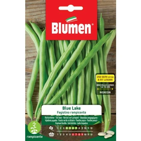 SEMI FAGIOLINI RAMPICANTI BLUE LAKE BLUMEN ORTO SEMINA 1 SEMI FAGIOLINI RAMPICANTI BLUE LAKE BLUMEN ORTO SEMINA
