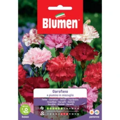 SEMI GAROFANO A PIUMINO MIX BLUMEN SEMENTI ORTO