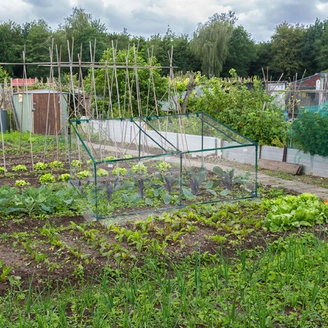 Relaxdays Serra Per Orto, HLP 71x183x93 Cm, Telo In PVC, Acciaio, 2 Porte, Coltivazioni Giardinaggio, Trasparente Verde 2 Relaxdays Serra Per Orto, HLP 71x183x93 Cm, Telo In PVC, Acciaio, 2 Porte, Coltivazioni Giardinaggio, Trasparente Verde - immagine 2