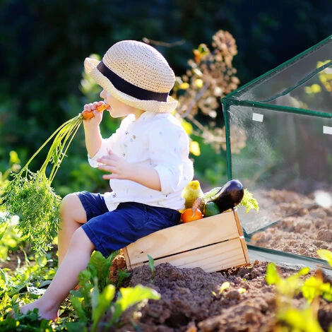 Relaxdays Serra Per Orto, HLP 71x183x93 Cm, Telo In PVC, Acciaio, 2 Porte, Coltivazioni Giardinaggio, Trasparente Verde 3 Relaxdays Serra Per Orto, HLP 71x183x93 Cm, Telo In PVC, Acciaio, 2 Porte, Coltivazioni Giardinaggio, Trasparente Verde - immagine 3