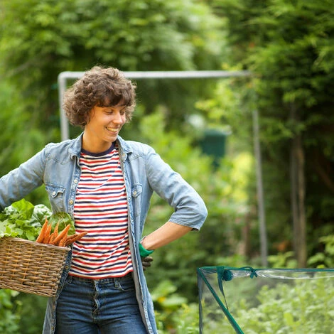 Relaxdays Serra Per Orto, HLP 71x183x93 Cm, Telo In PVC, Acciaio, 2 Porte, Coltivazioni Giardinaggio, Trasparente Verde 5 Relaxdays Serra Per Orto, HLP 71x183x93 Cm, Telo In PVC, Acciaio, 2 Porte, Coltivazioni Giardinaggio, Trasparente Verde - immagine 5