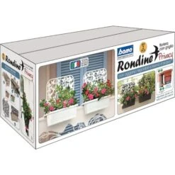 Bama Set 2 Fioriere Rondine Mini Separe' Spalliera Fioriera Privacy 60cm Antracite -Vendite VIDAXL 84694492 5