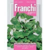 SEMI DI ORIGANO PERENNE COMUNE FRANCHI SEMENTI